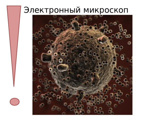 Электронный микроскоп 