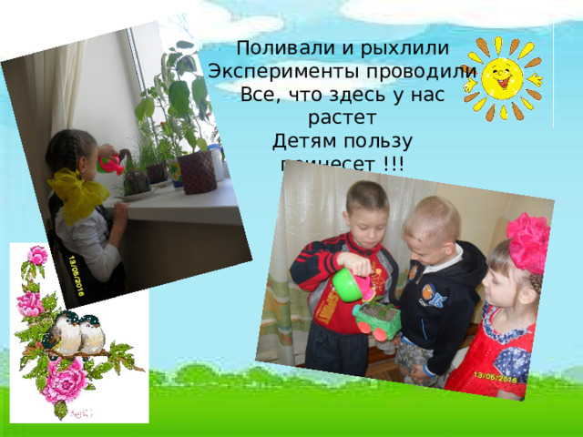 Поливали и рыхлили Эксперименты проводили Все, что здесь у нас растет Детям пользу принесет !!! 