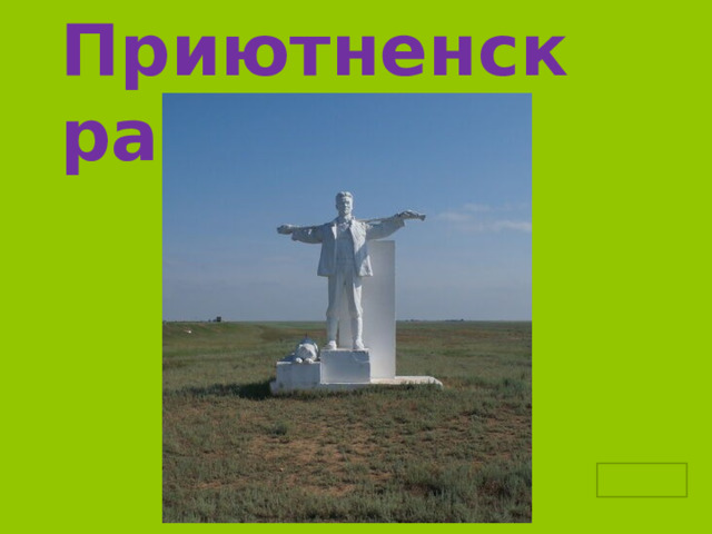 Приютненск район 