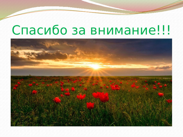Спасибо за внимание!!! 