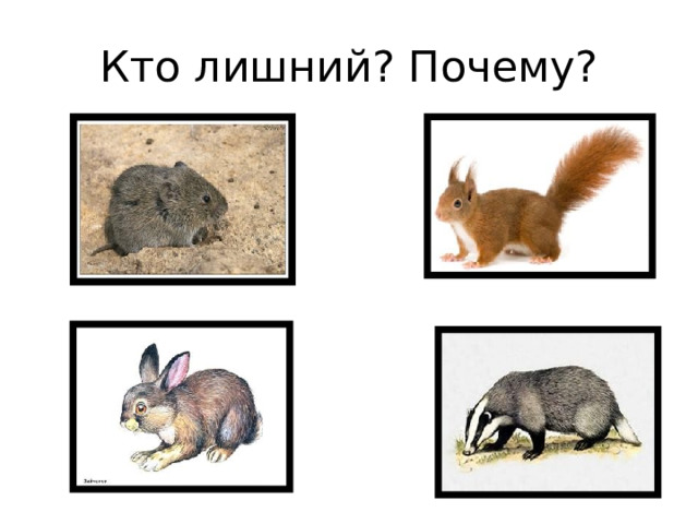 Кто лишний? Почему? 