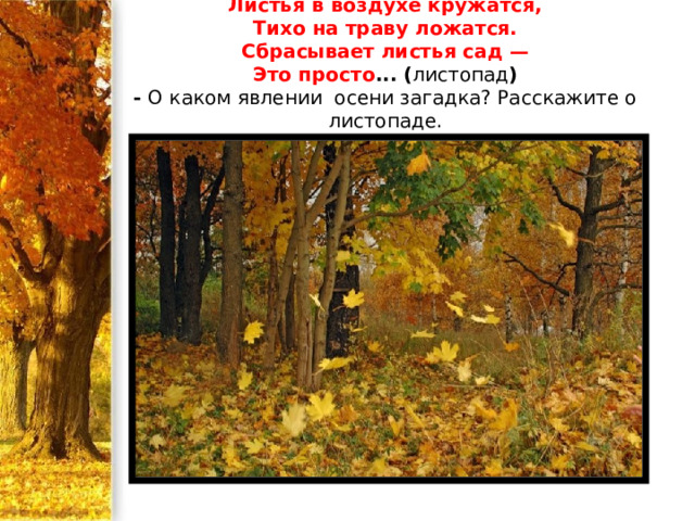 Листья в воздухе кружатся,  Тихо на траву ложатся.  Сбрасывает листья сад —  Это просто ... ( листопад )  - О каком явлении осени загадка? Расскажите о листопаде.   