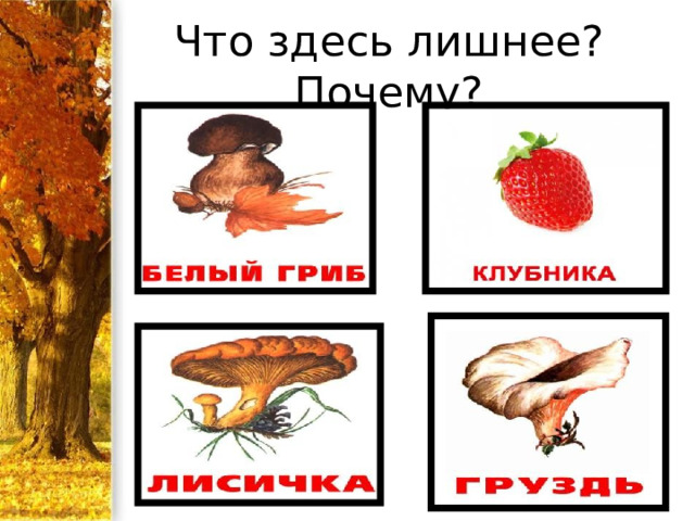 Что здесь лишнее? Почему? 
