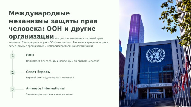 Международные механизмы защиты прав человека: ООН и другие организации Существуют международные организации, занимающиеся защитой прав человека. Главную роль играет ООН и ее органы. Также важную роль играют региональные организации и неправительственные организации. ООН 1 Принимает декларации и конвенции по правам человека. Совет Европы 2 Европейский суд по правам человека. Amnesty International 3 Защита прав человека во всем мире.  