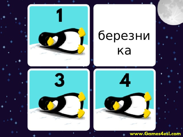 березника 