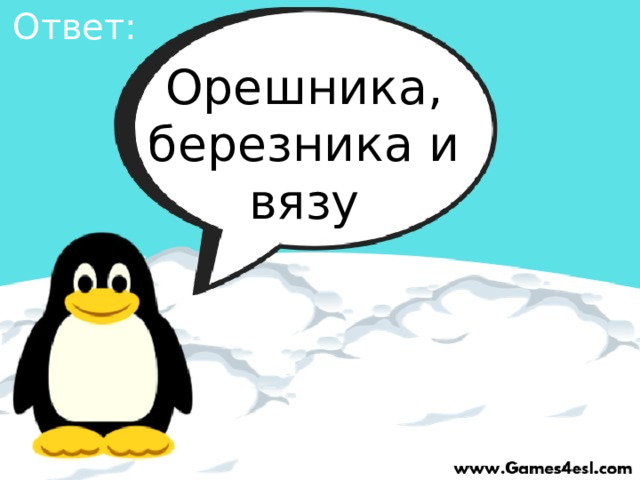 Ответ: Орешника, березника и вязу 