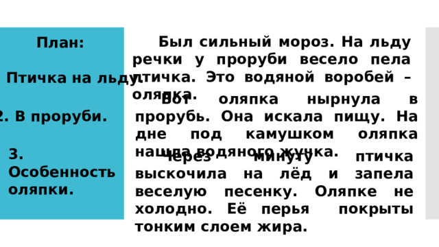 Был сильный мороз. На льду речки у проруби весело пела птичка. Это водяной воробей – оляпка. План: 1. Птичка на льду. Вот оляпка нырнула в прорубь. Она искала пищу. На дне под камушком оляпка нашла водяного жучка. 2. В проруби. 3. Особенность оляпки. Через минуту птичка выскочила на лёд и запела веселую песенку. Оляпке не холодно. Её перья покрыты тонким слоем жира. 