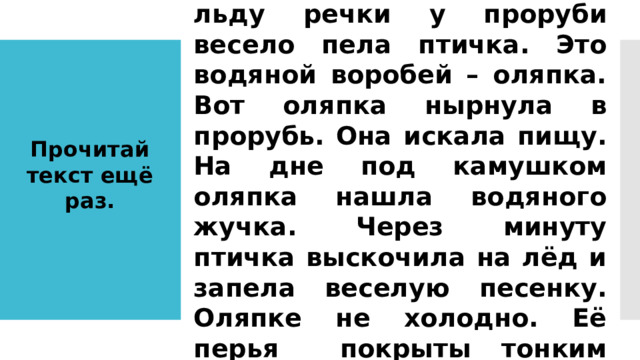 Был сильный мороз. На льду речки у проруби весело пела птичка. Это водяной воробей – оляпка. Вот оляпка нырнула в прорубь. Она искала пищу. На дне под камушком оляпка нашла водяного жучка. Через минуту птичка выскочила на лёд и запела веселую песенку. Оляпке не холодно. Её перья покрыты тонким слоем жира. Прочитай текст ещё раз. 