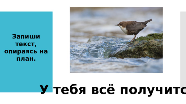 Запиши текст, опираясь на план. У тебя всё получится! 