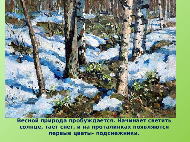 Весной природа пробуждается. Начинает светить солнце, тает снег, и на проталинках появляются первые цветы- подснежники.   