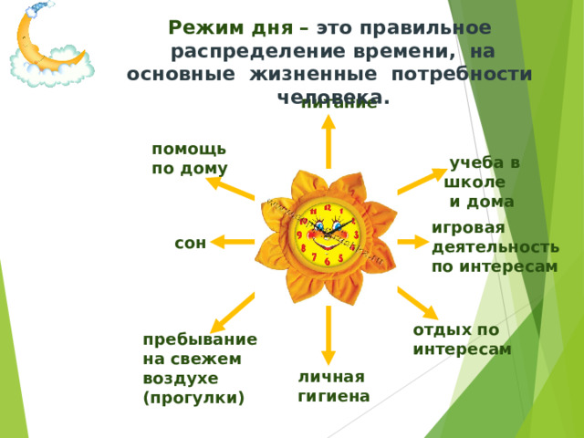 Режим дня – это правильное распределение времени, на основные жизненные потребности человека.      питание    помощь по дому     учеба в школе  и дома    игровая деятельность по интересам   сон  отдых по интересам  пребывание на свежем воздухе (прогулки)   личная гигиена  