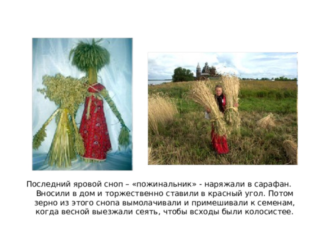 Последний яровой сноп – «пожинальник» - наряжали в сарафан. Вносили в дом и торжественно ставили в красный угол. Потом зерно из этого снопа вымолачивали и примешивали к семенам, когда весной выезжали сеять, чтобы всходы были колосистее. 
