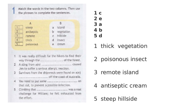 1 c 2 e 3 a 4 b 5 d  1 thick vegetation 2 poisonous insect 3 remote island 4 antiseptic cream 5 steep hillside 