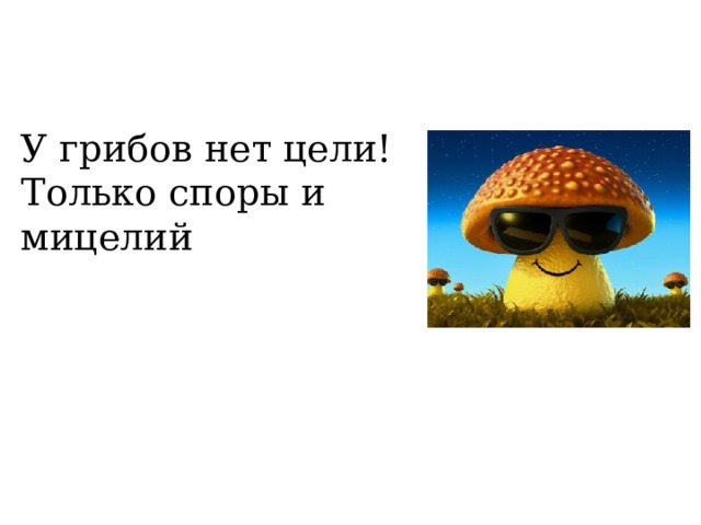 У грибов нет цели!  Только споры и мицелий 