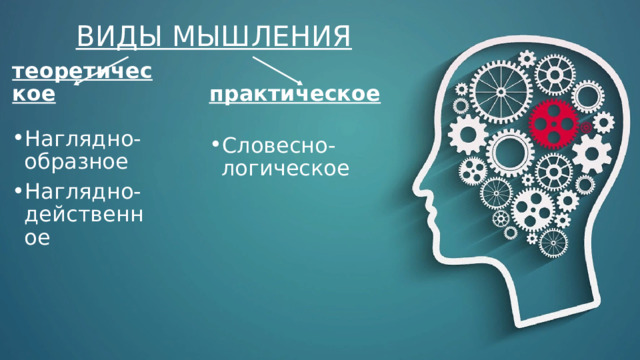  ВИДЫ МЫШЛЕНИЯ   теоретическое практическое Наглядно-образное Наглядно-действенное Словесно-логическое 