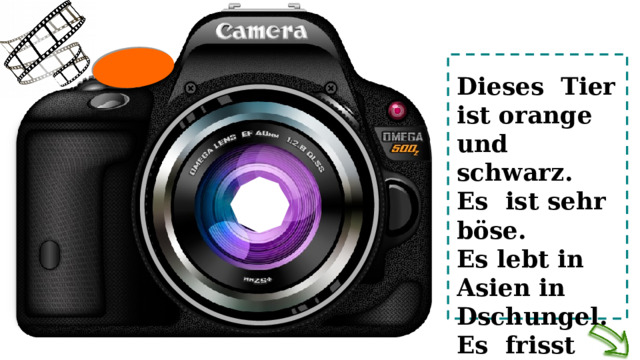 Dieses Tier ist orange und schwarz. Es ist sehr böse. Es lebt in Asien in Dschungel. Es frisst Fleisch 