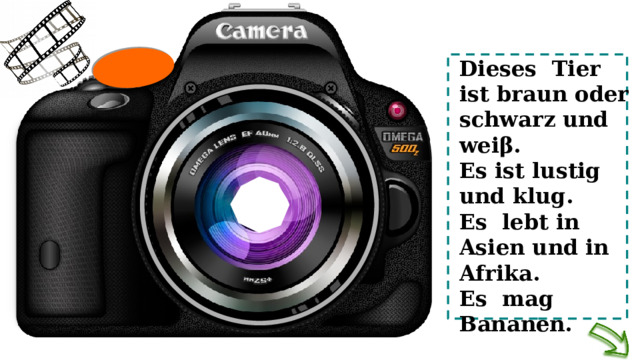 Dieses Tier ist braun oder schwarz und weiβ. Es ist lustig und klug. Es lebt in Asien und in Afrika. Es mag Bananen. 