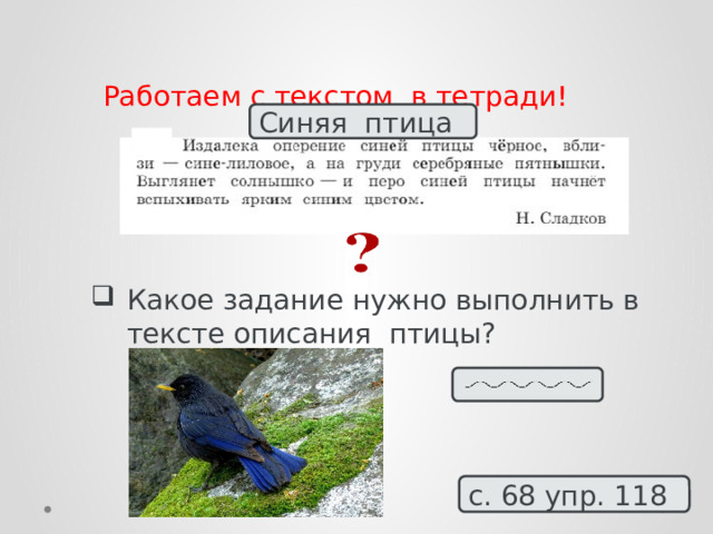 Работаем с текстом в тетради! Синяя птица Какое задание нужно выполнить в тексте описания птицы? с. 68 упр. 118 