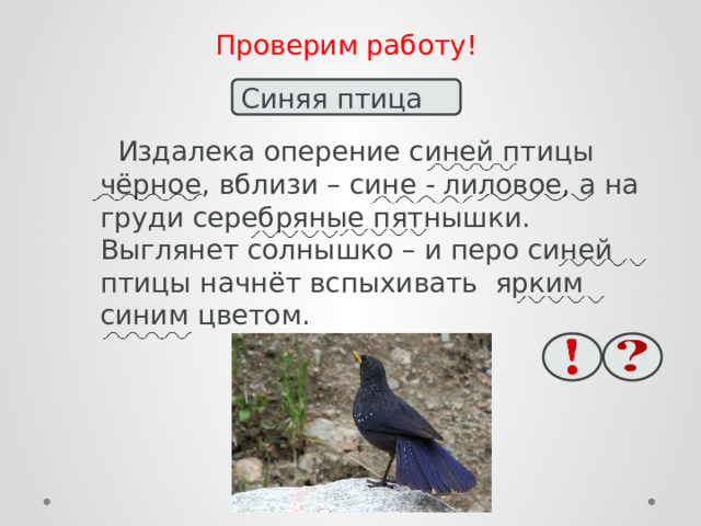  Проверим работу! Синяя птица  Издалека оперение синей птицы чёрное, вблизи – сине - лиловое, а на груди серебряные пятнышки. Выглянет солнышко – и перо синей птицы начнёт вспыхивать  ярким синим цветом. 
