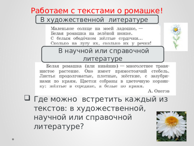 Работаем с текстами о ромашке!  В художественной литературе  В научной или справочной литературе Где можно встретить каждый из текстов: в художественной, научной или справочной литературе? 