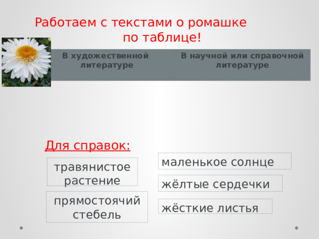 Работаем с текстами о ромашке по таблице! В художественной литературе В научной или справочной литературе  Для справок: маленькое солнце травянистое растение жёлтые сердечки прямостоячий стебель жёсткие листья 