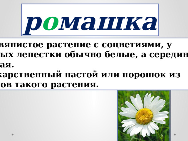 р о машка Травянистое растение с соцветиями, у которых лепестки обычно белые, а середина  жёлтая. 2. Лекарственный настой или порошок из цветков такого растения. 