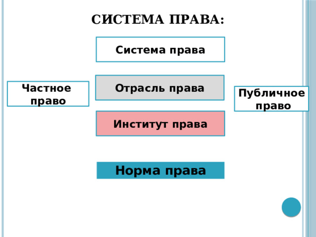 СИСТЕМА ПРАВА: Система права Отрасль права Частное право Публичное право Институт права Норма права 