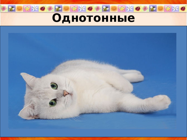 Однотонные 