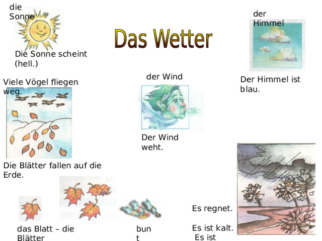 die Sonne der Himmel Die Sonne scheint (hell.) der Wind Der Himmel ist blau. Viele V ögel fliegen weg. Der Wind weht. Die Bl ätter fallen auf die Erde. Es regnet. Es ist kalt. Es ist nass. das Blatt – die Bl ätter bunt 