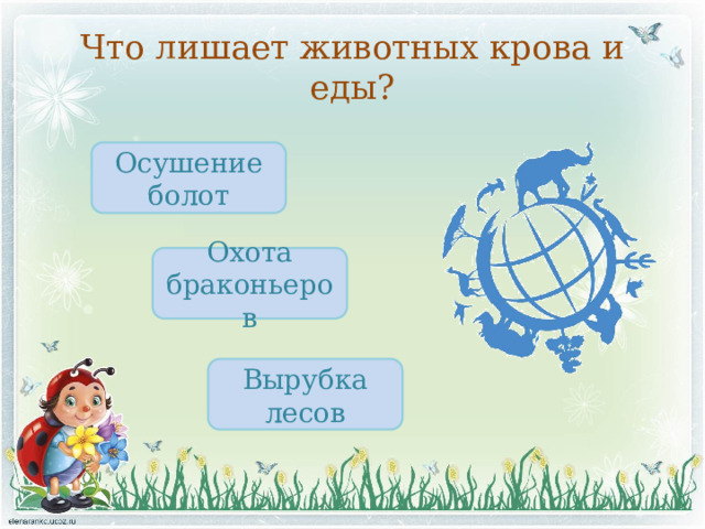 Что лишает животных крова и еды? Осушение болот Охота браконьеров Вырубка лесов 