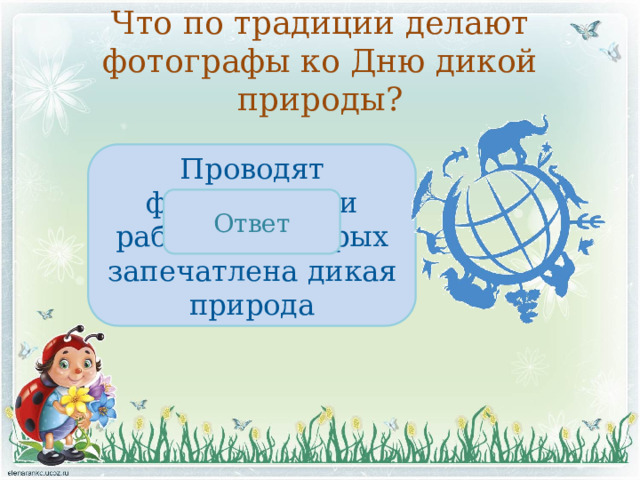 Что по традиции делают фотографы ко Дню дикой природы? Проводят фотовыставки работ, на которых запечатлена дикая природа Ответ 