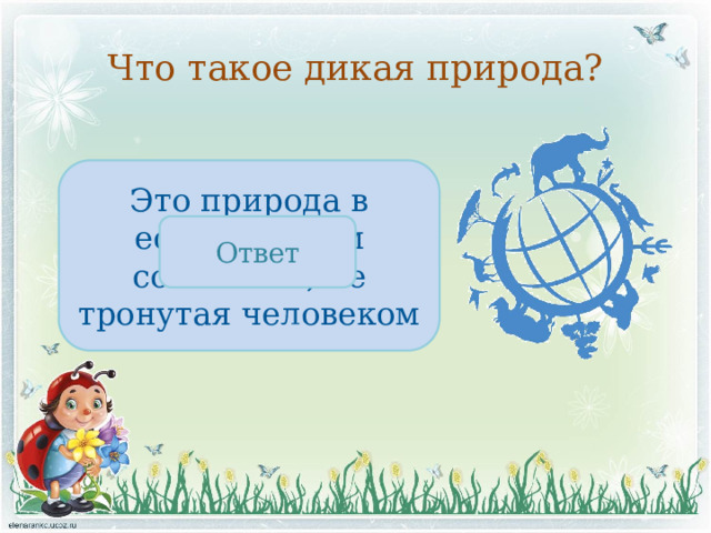 Что такое дикая природа? Это природа в естественном состоянии, не тронутая человеком Ответ 
