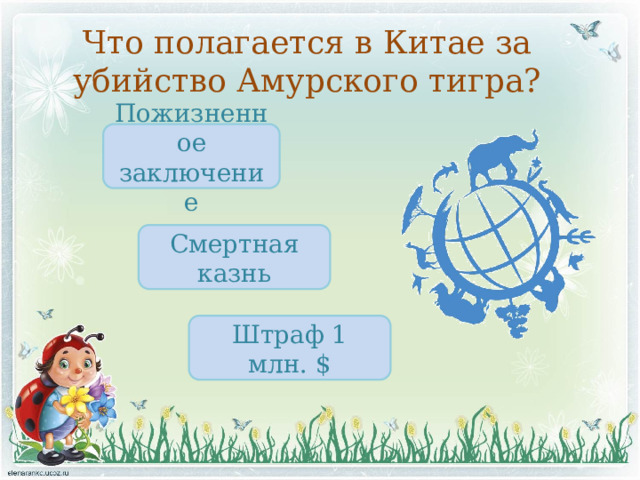 Что полагается в Китае за убийство Амурского тигра? Пожизненное заключение Смертная казнь Штраф 1 млн. $ 