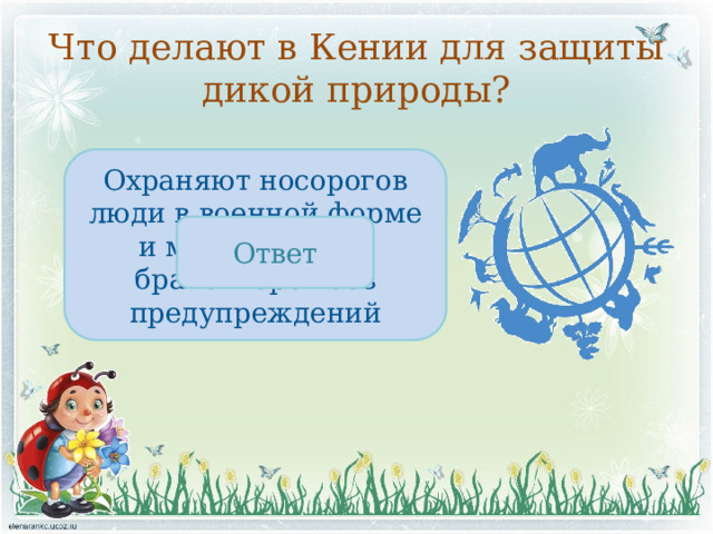 Что делают в Кении для защиты дикой природы? Охраняют носорогов люди в военной форме и могут убивать браконьеров без предупреждений Ответ 