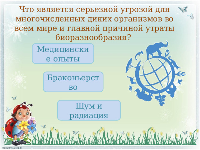 Что является серьезной угрозой для многочисленных диких организмов во всем мире и главной причиной утраты биоразнообразия? Медицинские опыты Браконьерство Шум и радиация 