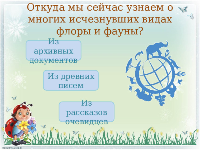 Откуда мы сейчас узнаем о многих исчезнувших видах флоры и фауны? Из архивных документов Из древних писем Из рассказов очевидцев 