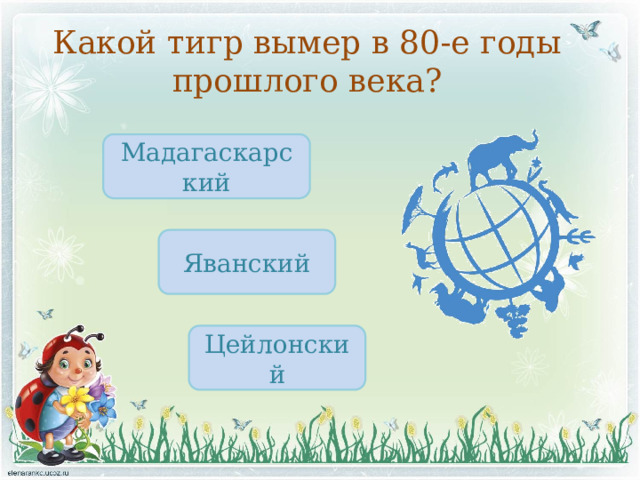 Какой тигр вымер в 80-е годы прошлого века? Мадагаскарский Яванский Цейлонский 