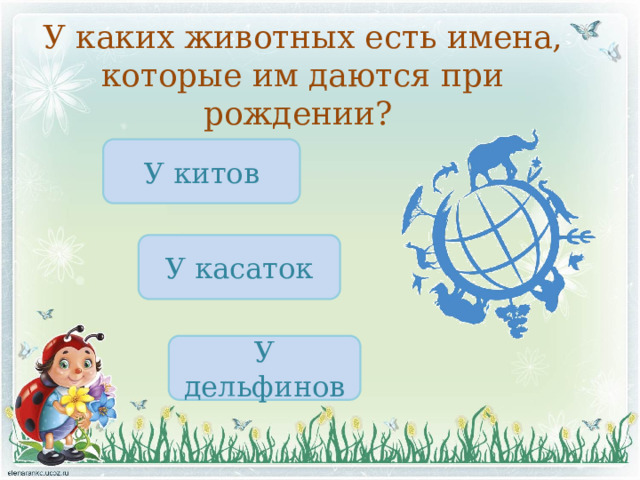 У каких животных есть имена, которые им даются при рождении? У китов У касаток У дельфинов 