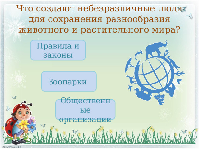 Что создают небезразличные люди для сохранения разнообразия животного и растительного мира? Правила и законы Зоопарки Общественные организации 