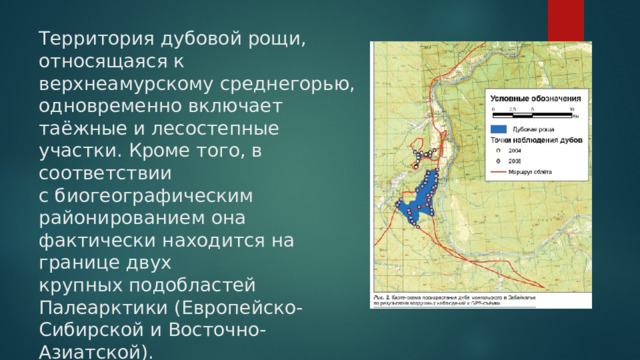 Территория дубовой рощи, относящаяся к верхнеамурскому среднегорью, одновременно включает таёжные и лесостепные участки. Кроме того, в соответствии  с биогеографическим районированием она фактически находится на границе двух  крупных подобластей Палеарктики (Европейско-Сибирской и Восточно-Азиатской).   