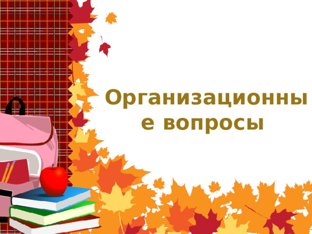 Организационные вопросы 