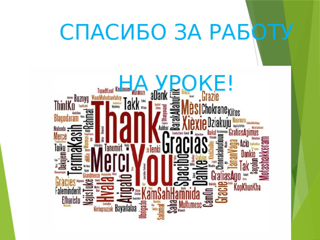 СПАСИБО ЗА РАБОТУ  НА УРОКЕ! 