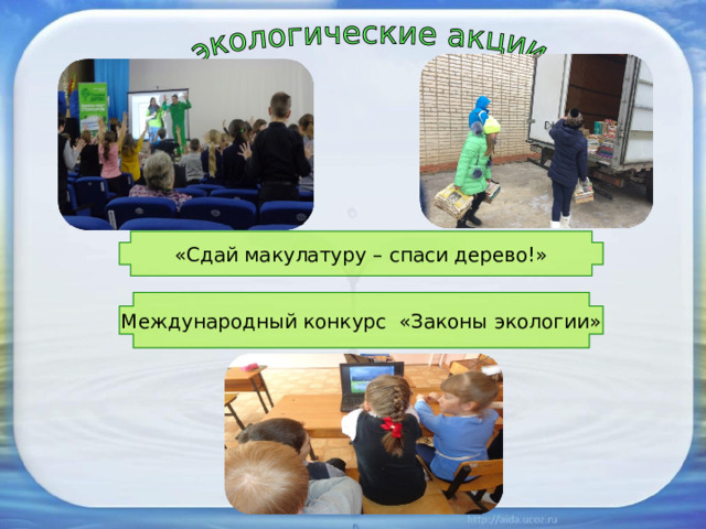 «Сдай макулатуру – спаси дерево!» Международный конкурс «Законы экологии» 