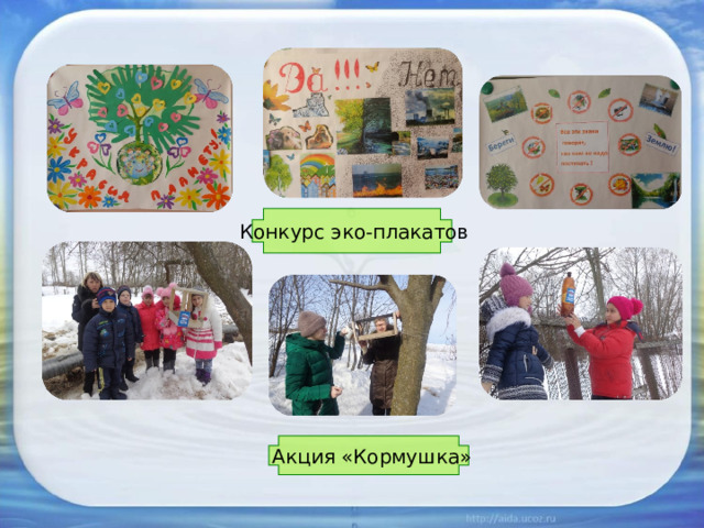  Конкурс эко-плакатов  Акция «Кормушка» 