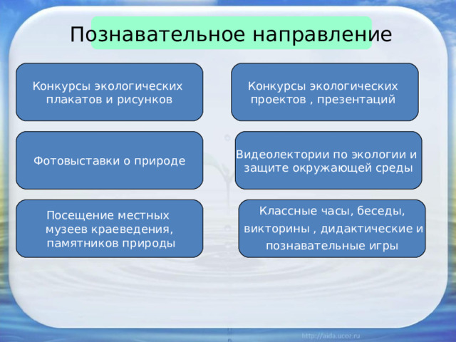 Познавательное направление Конкурсы экологических плакатов и рисунков Конкурсы экологических проектов , презентаций Фотовыставки о природе Видеолектории по экологии и защите окружающей среды Посещение местных музеев краеведения,  памятников природы Классные часы, беседы,  викторины , дидактические и познавательные игры 