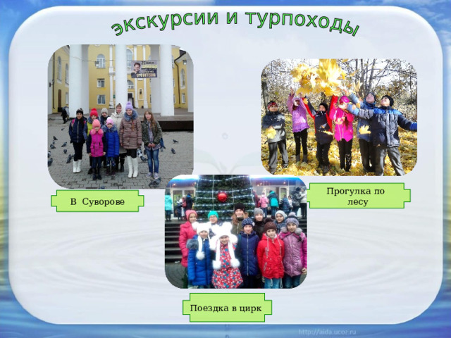 Прогулка по  лесу В Суворове Поездка в цирк 