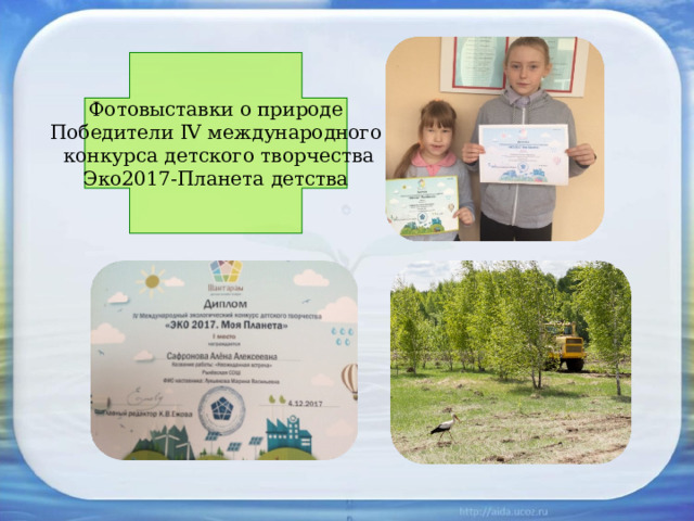 Фотовыставки о природе Победители IV международного  конкурса детского творчества Эко2017-Планета детства 