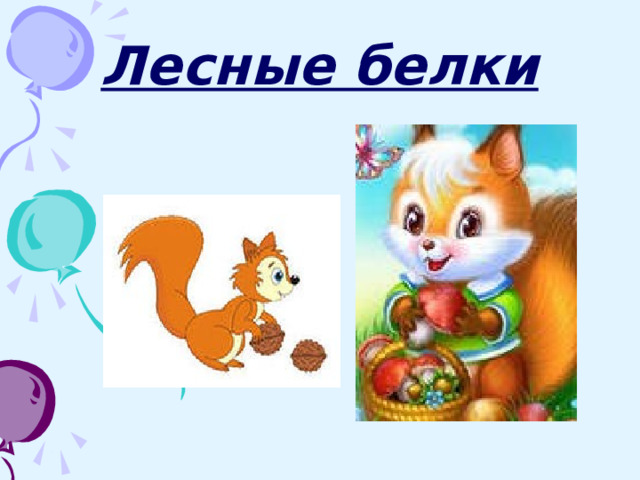 Лесные белки 