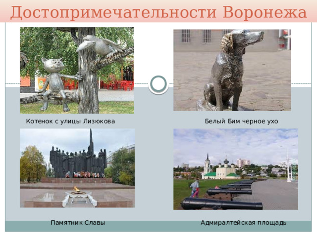 Достопримечательности Воронежа Котенок с улицы Лизюкова Белый Бим черное ухо Памятник Славы Адмиралтейская площадь 