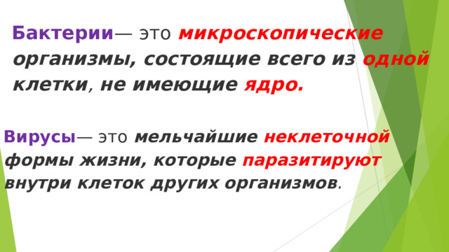 Бактерии — это  микроскопические организмы, состоящие всего из одной клетки , не имеющие ядро. Вирусы — это  мельчайшие неклеточной формы жизни, которые паразитируют внутри клеток других организмов . 
